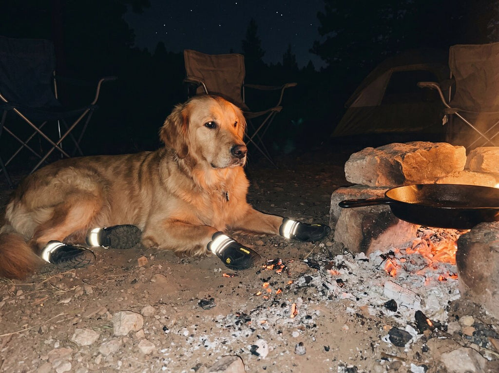 PawShield Pro protecting paws near campfire embers