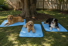 The Cool Zone Mat