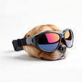 Dog sunglasses with adjustable strap and reflective lens