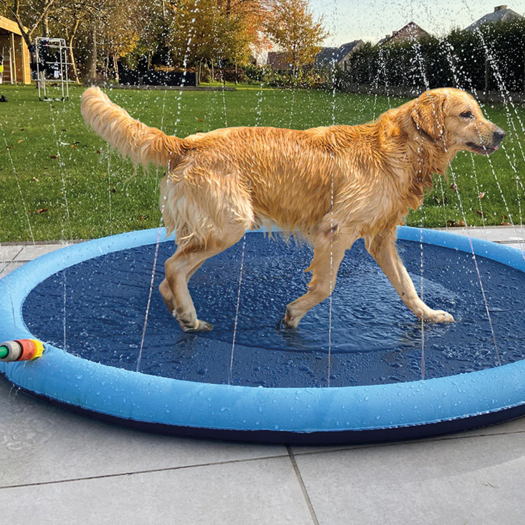 Pawddle in use
